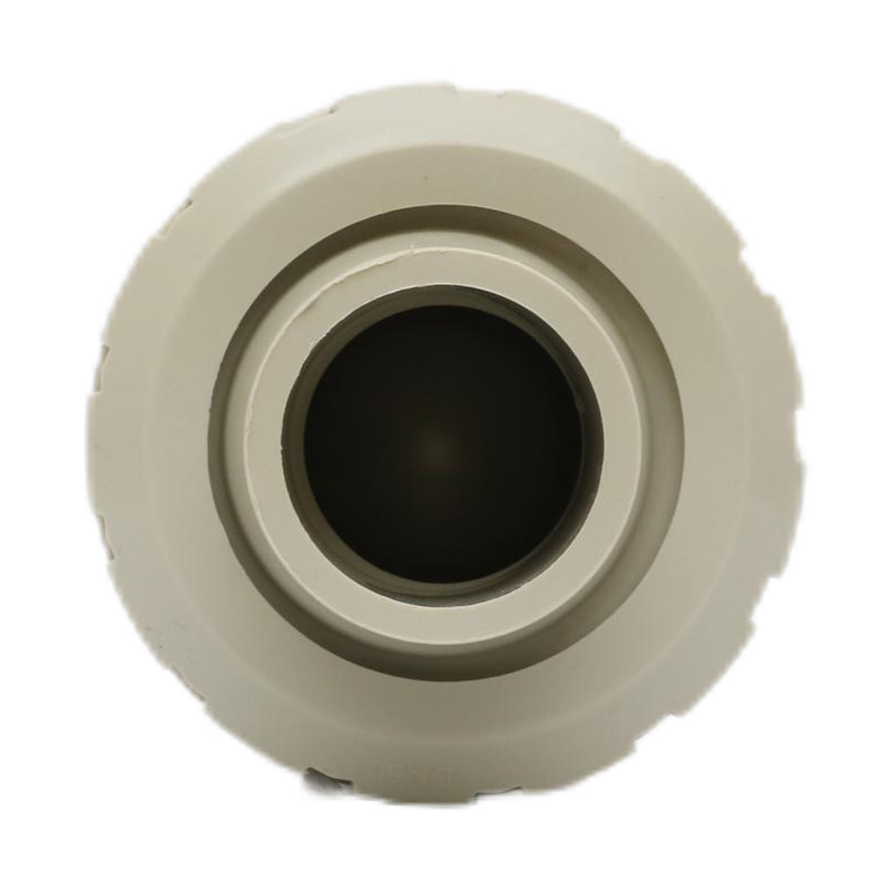 PPH H61F-10S Hot Melt Svejsekontraventil DN50 GB Standard