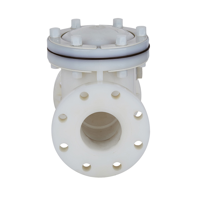 PVDF H44F-10F Svingtype kontraventil DN15-300 GB Standard