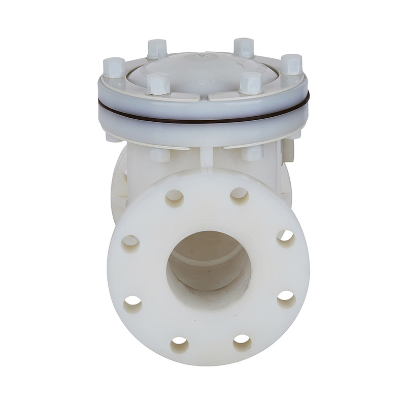 PVDF H44F-10F Swing Type kontraventil DN15-300 1/2'-12' ANSI Standard
