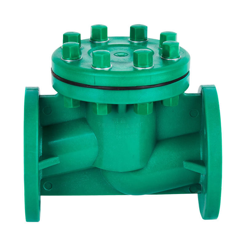 FRPP H41F-10S Livstype kontraventil DN40-80 GB Standard