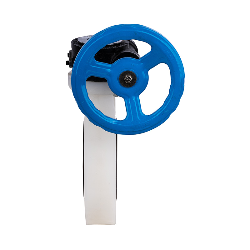 PVDF D371X-10F Ormegear Butterfly Ventil DN40-1000 40A-1000A JIS Standard