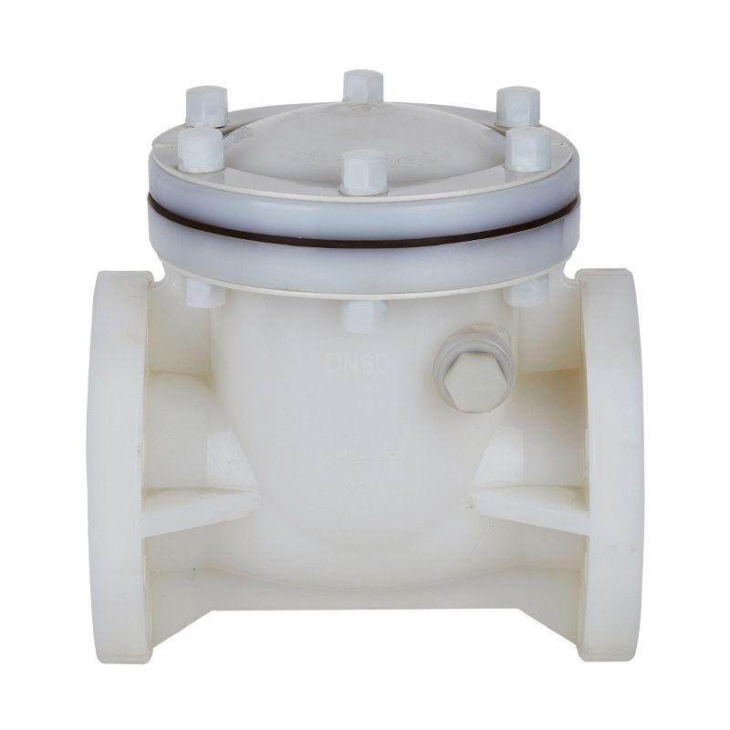 PVDF H44F-10F Swing Type kontraventil DN15-300 1/2'-12' ANSI Standard