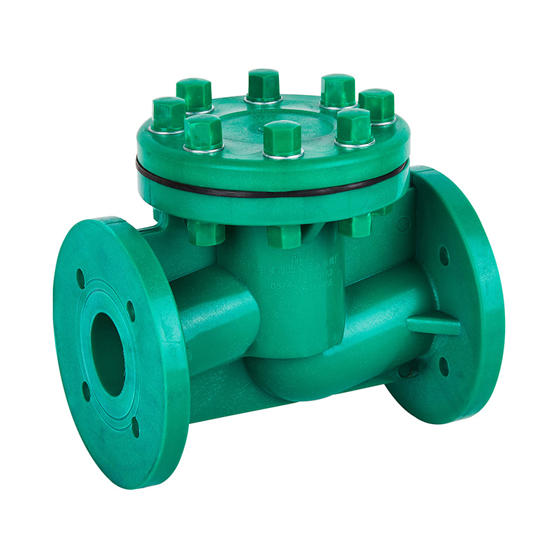 FRPP H41F-10S Livstype kontraventil DN40-80 GB Standard