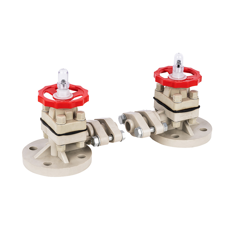 PPH G41F-10S Niveauindikator DN15-50 GB Standard